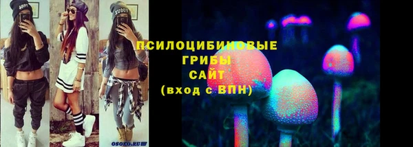 герыч Гусь-Хрустальный