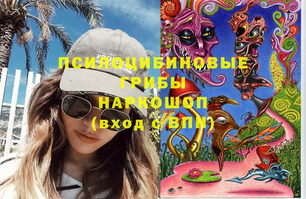 эйфоретик Гусиноозёрск