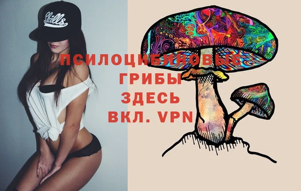 эйфоретик Гусиноозёрск